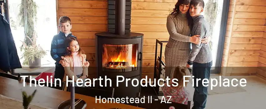 Thelin Hearth Products Fireplace Homestead II - AZ
