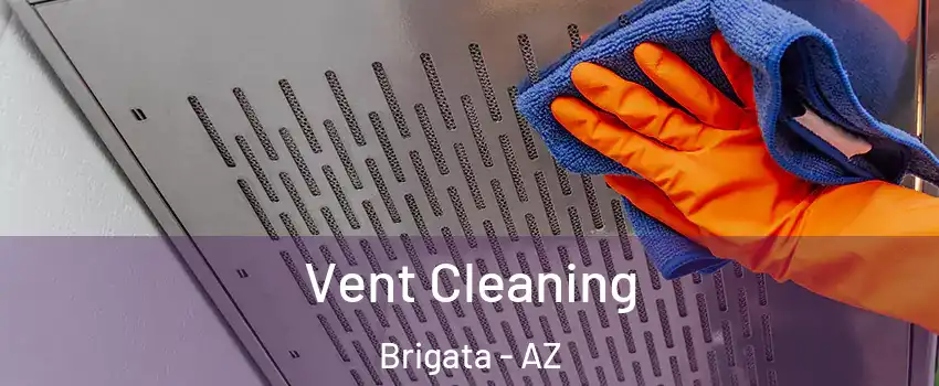 Vent Cleaning Brigata - AZ