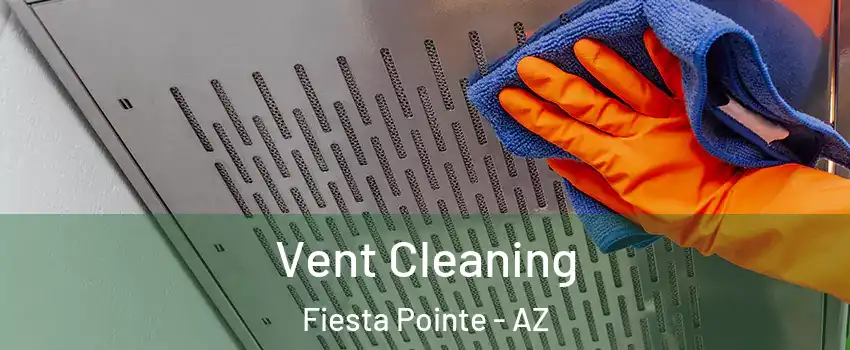 Vent Cleaning Fiesta Pointe - AZ