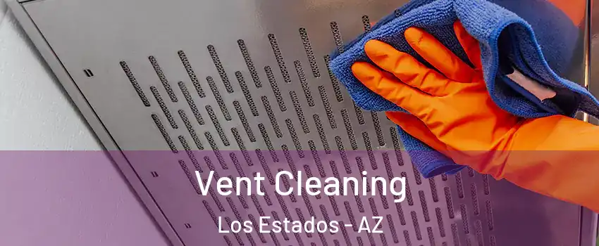 Vent Cleaning Los Estados - AZ