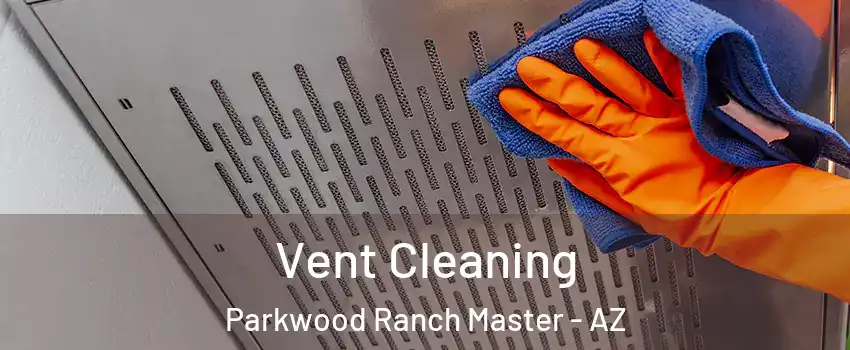 Vent Cleaning Parkwood Ranch Master - AZ