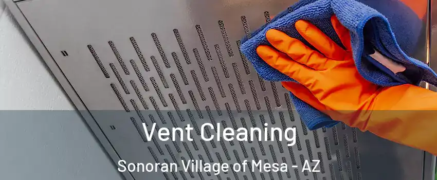 Vent Cleaning Sonoran Village of Mesa - AZ