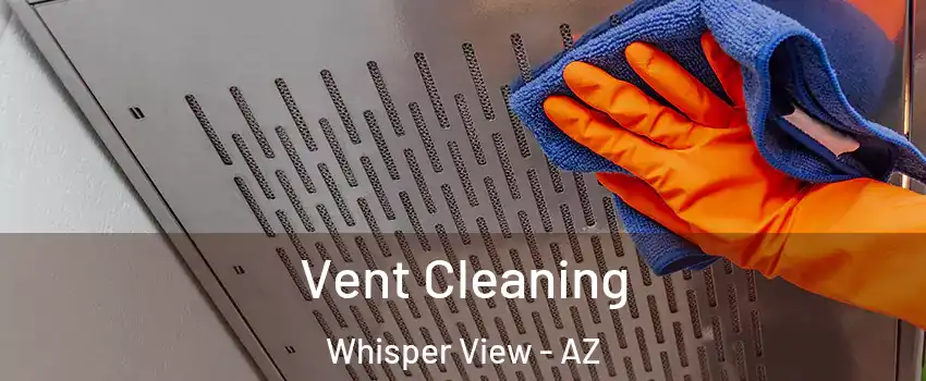 Vent Cleaning Whisper View - AZ