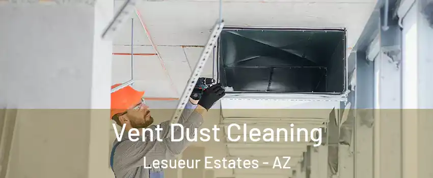 Vent Dust Cleaning Lesueur Estates - AZ