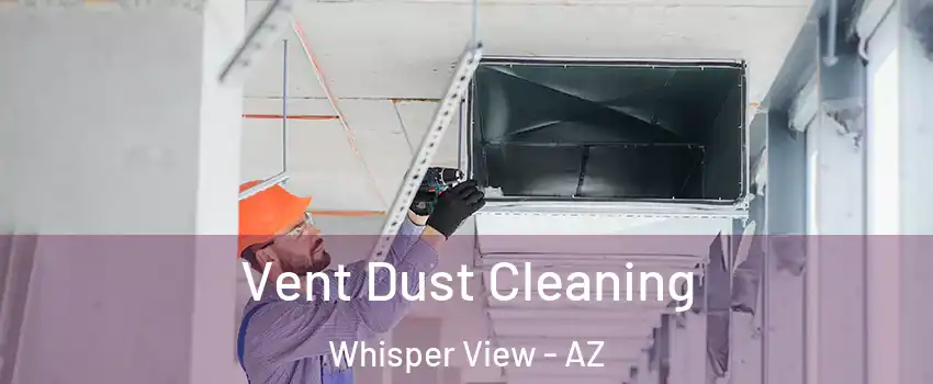 Vent Dust Cleaning Whisper View - AZ