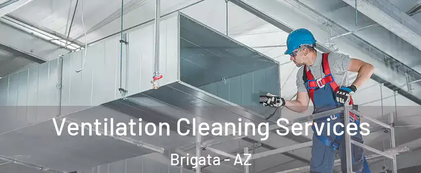 Ventilation Cleaning Services Brigata - AZ