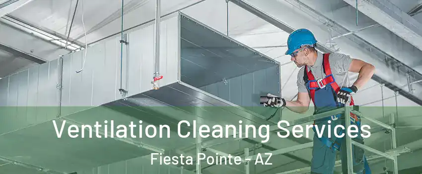 Ventilation Cleaning Services Fiesta Pointe - AZ