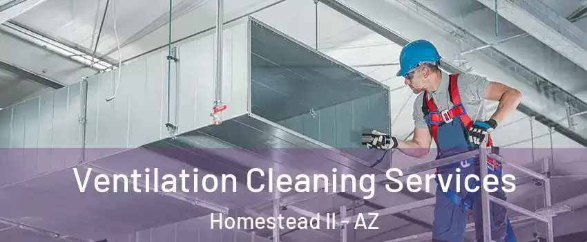 Ventilation Cleaning Services Homestead II - AZ