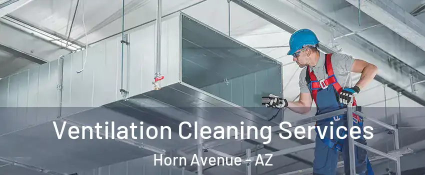 Ventilation Cleaning Services Horn Avenue - AZ