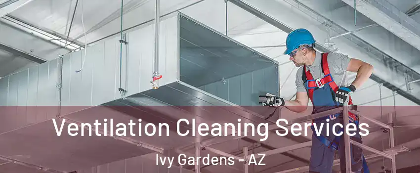 Ventilation Cleaning Services Ivy Gardens - AZ