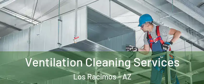 Ventilation Cleaning Services Los Racimos - AZ