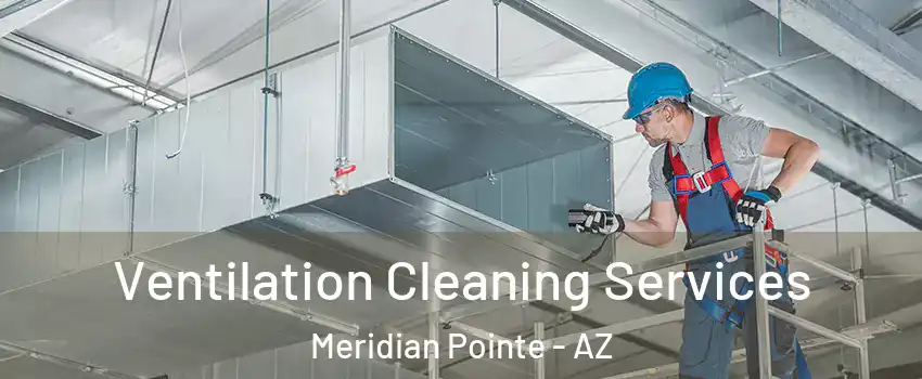 Ventilation Cleaning Services Meridian Pointe - AZ