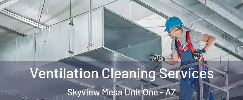 Ventilation Cleaning Services Skyview Mesa Unit One - AZ