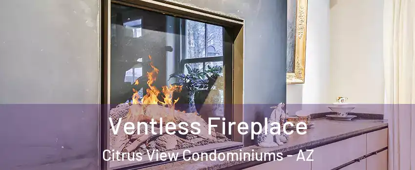 Ventless Fireplace Citrus View Condominiums - AZ