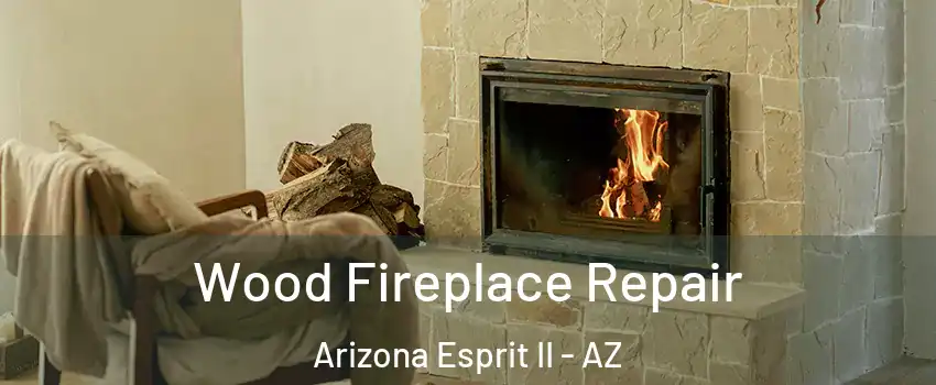 Wood Fireplace Repair Arizona Esprit II - AZ