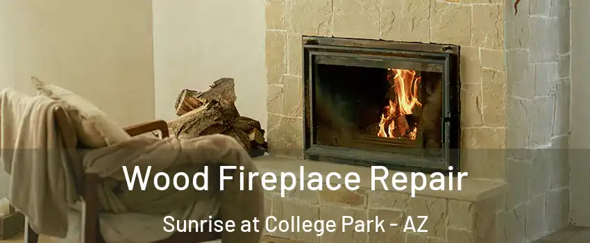 Wood Fireplace Repair Sunrise at College Park - AZ