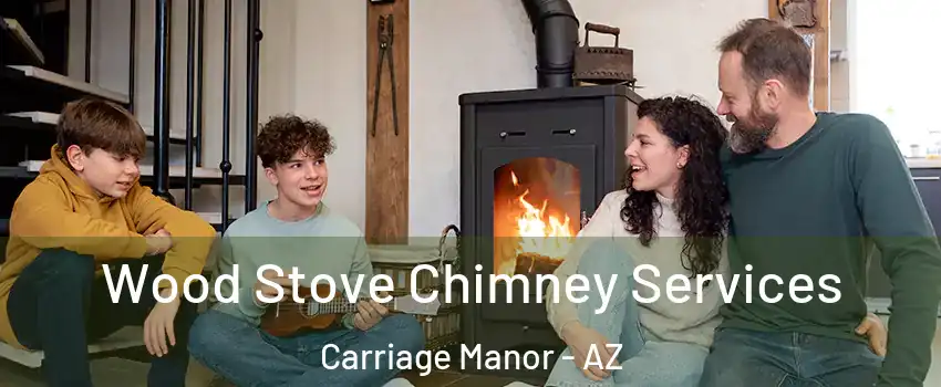 Wood Stove Chimney Services Carriage Manor - AZ