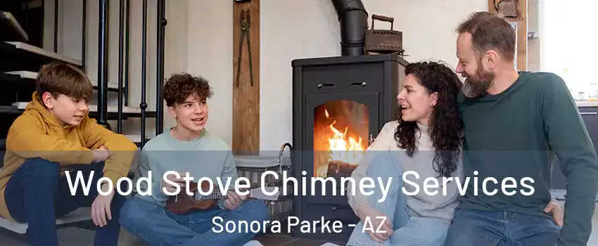 Wood Stove Chimney Services Sonora Parke - AZ