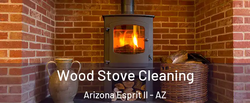 Wood Stove Cleaning Arizona Esprit II - AZ