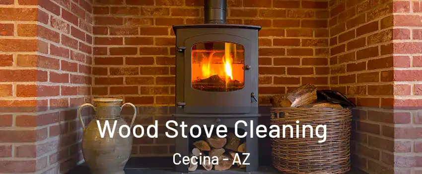 Wood Stove Cleaning Cecina - AZ