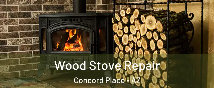 Wood Stove Repair Concord Place - AZ